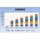 广元如何防止SEO关键词排名下降