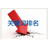 广元网站关键词排名下降原因有哪些